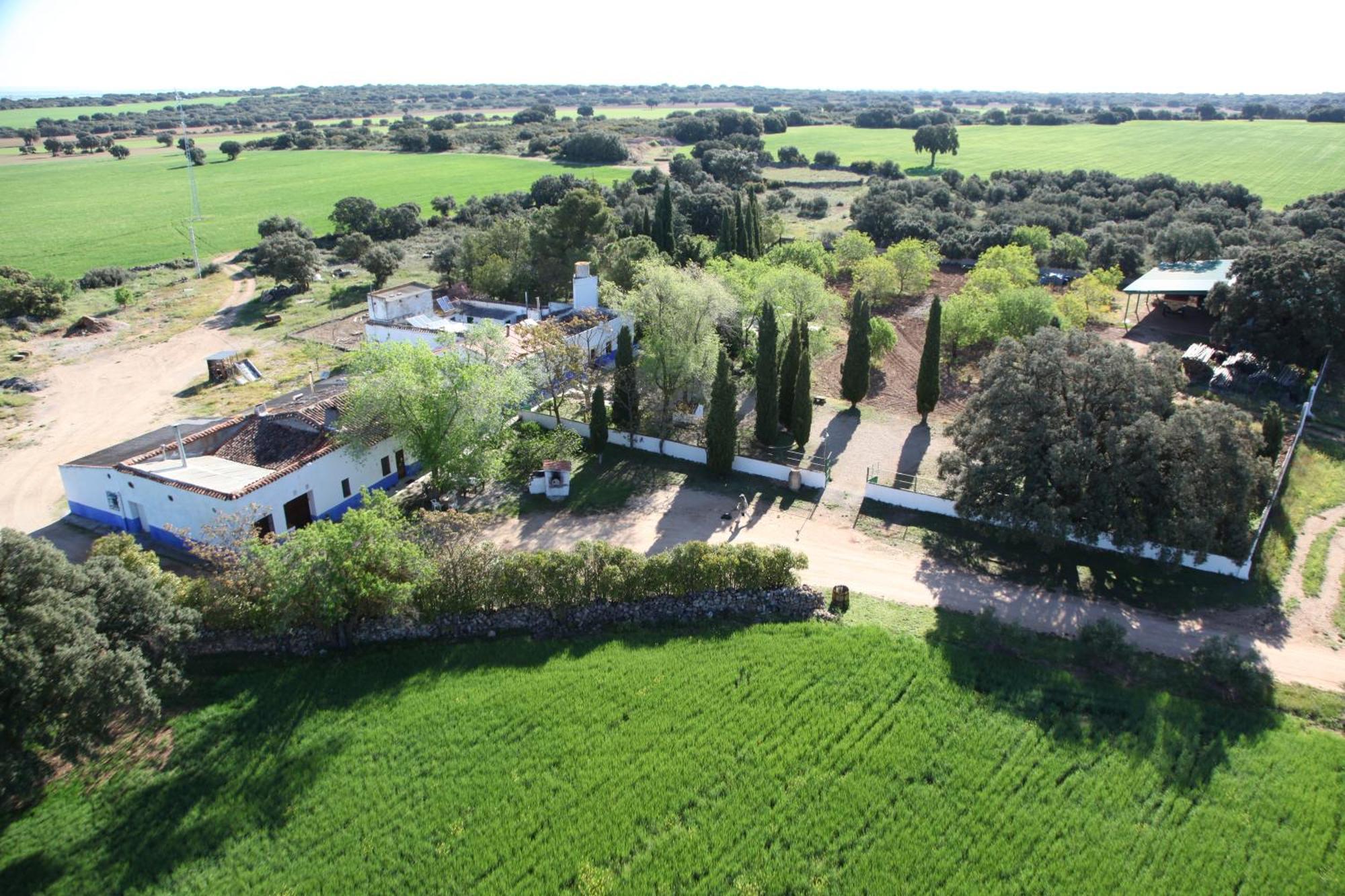Agroturismo Calixto Villarrobledo Exterior photo